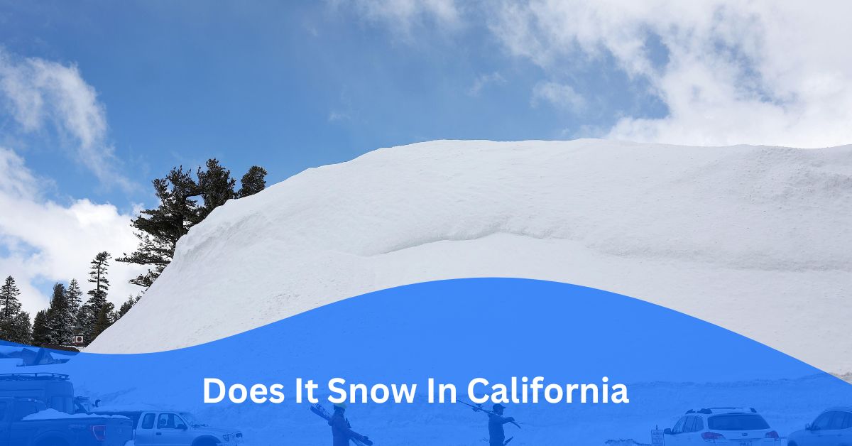 Does It Snow In California